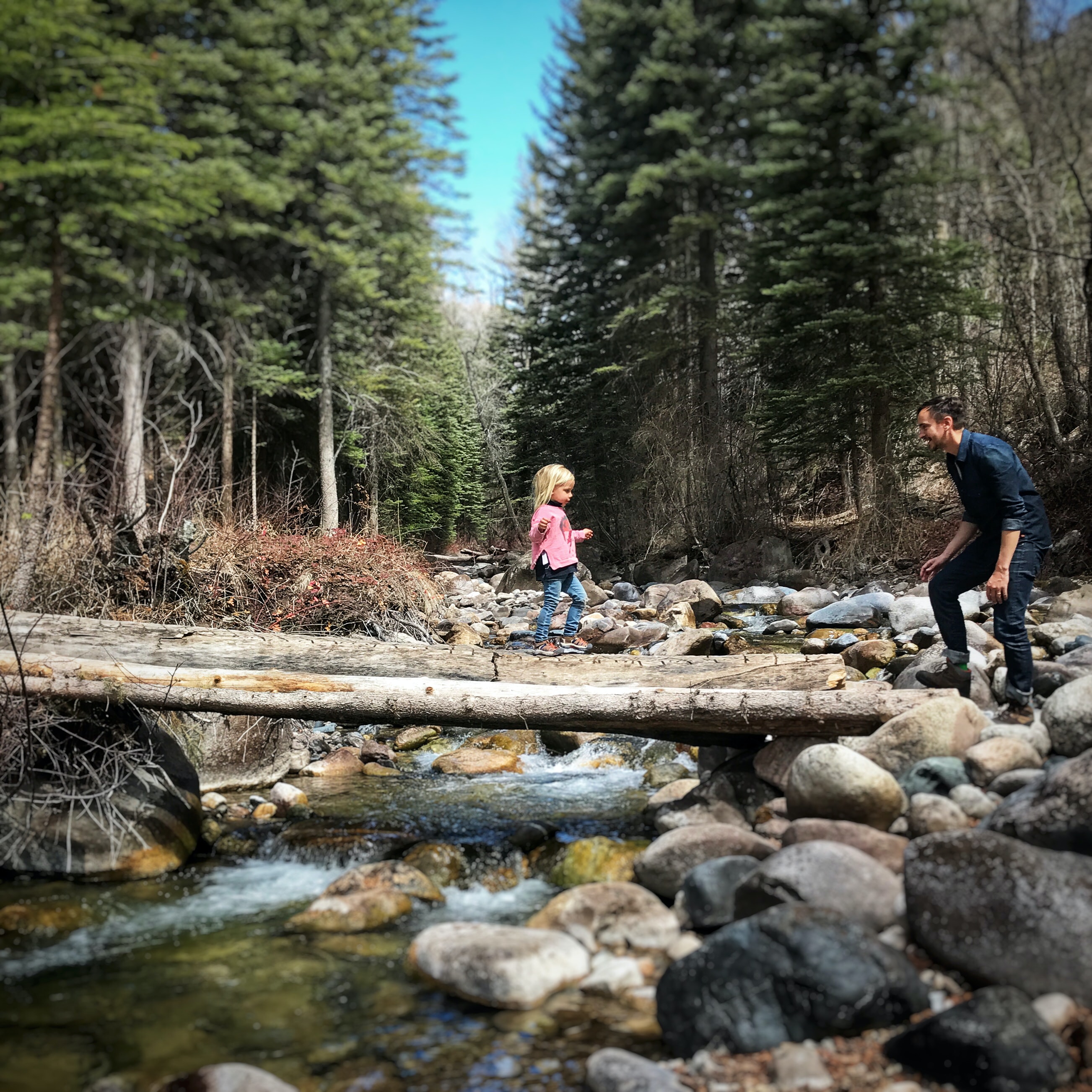 a child walking across a fallen tree to her father